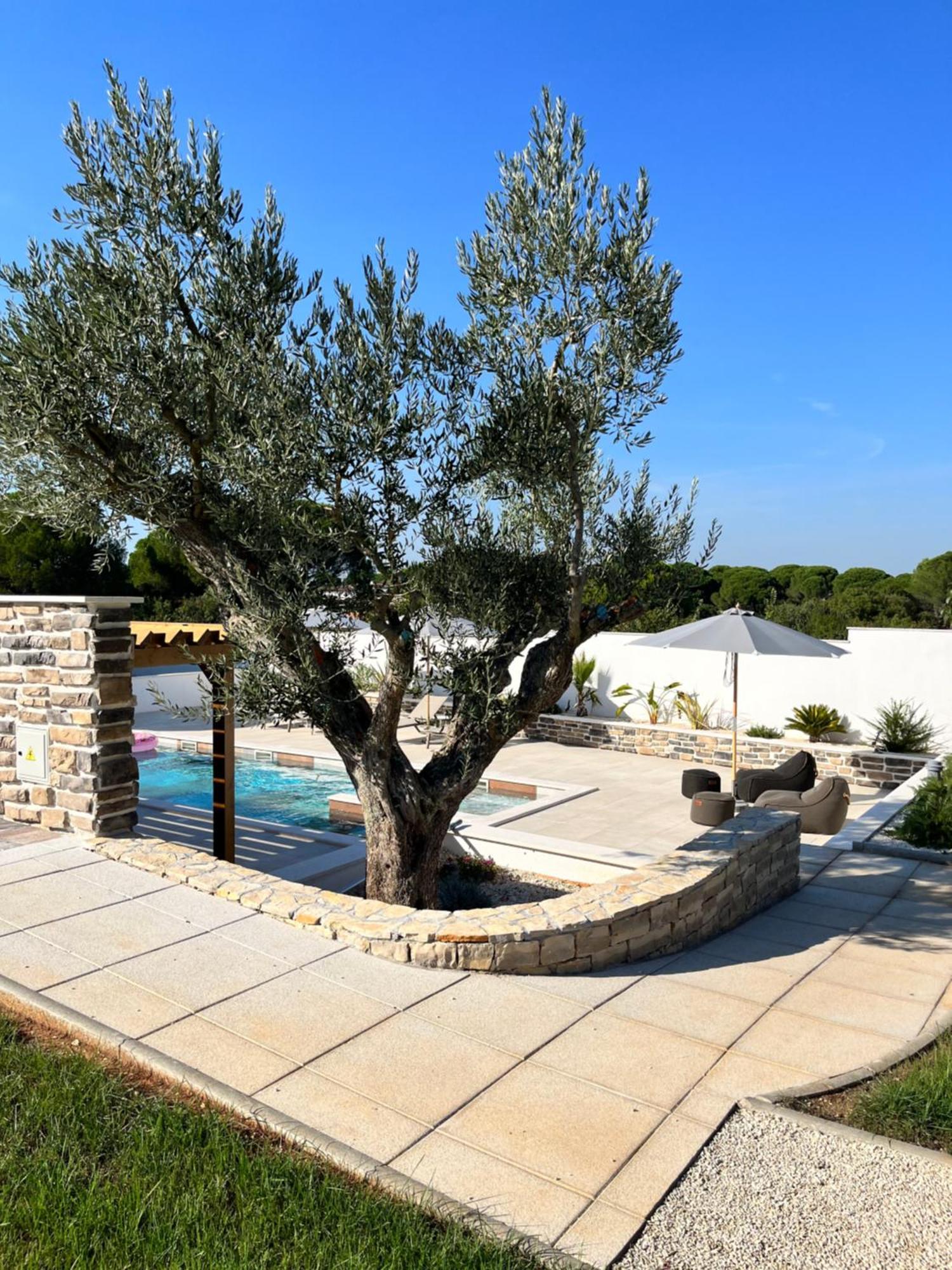 Olivea Luxury Suites Fažana Exterior foto
